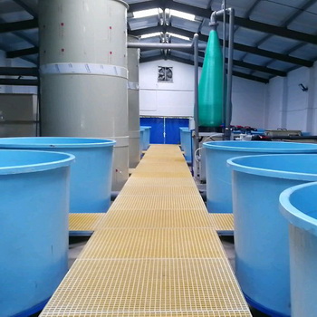 Freshwater recirculating aquaculture systems